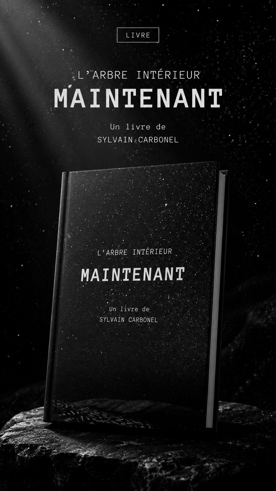 Livre - Maintenant de Sylvain Carbonel
