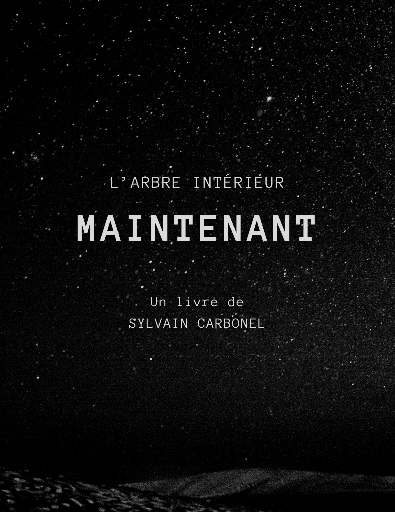 Livre - Maintenant de Sylvain Carbonel