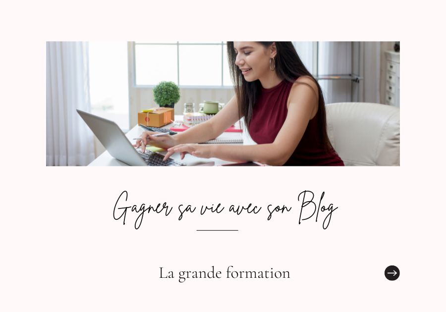 VIVRE DE SON BLOG